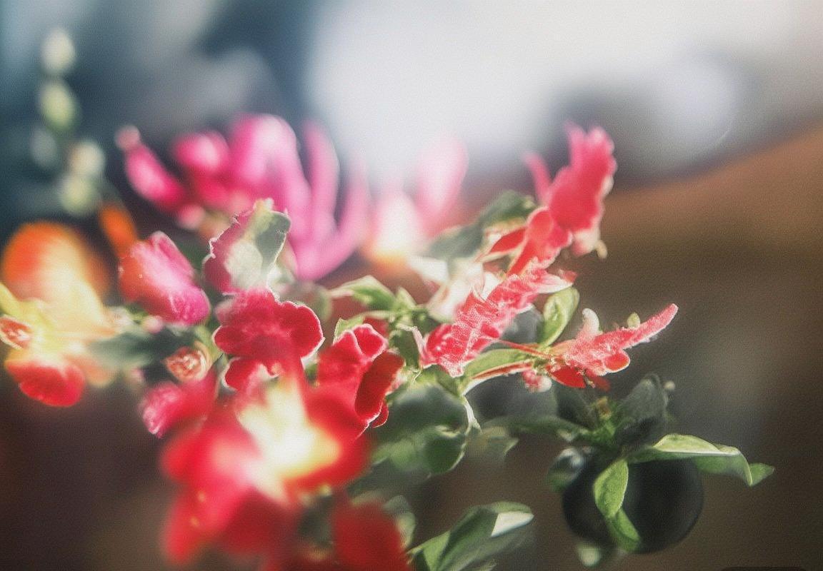 巴塞罗那VS比利亚雷亚尔：胜负之外，解析足球对决的深远影响(图1)